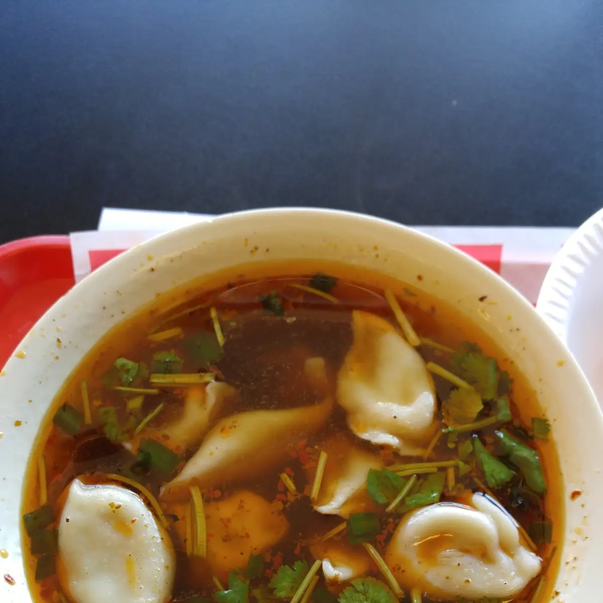 hot sour dumpling soup 酸汤水饺